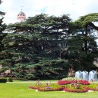 Lustgarten mit Libanonzedern im Schlosspark Bad Homburg