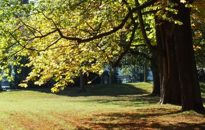 Herbst im Bad Homburger Kurpark