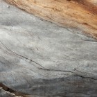 Ausgebleichtes Holz von einem toten Stamm