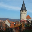 Blick über die Dächer der Altstadt