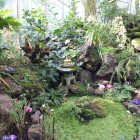 Tropicarium - Nebelwald