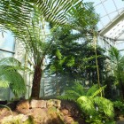 Tropicarium - Nebelwald