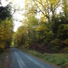 Herbst im Taunus