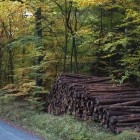 Herbst im Taunus