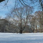 Der erste Schnee des Jahres glitzert in der Wintersonne