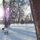 Der erste Schnee des Jahres glitzert in der Wintersonne