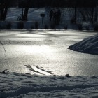 Eine erste dünne Eisschicht hat sich über den Kurparkweiher gelegt.