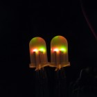 Die LEDs bei ca. 24 Grad Celsius