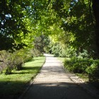 Weg im Schloßpark