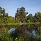 Spiegelungen im Schloßteich