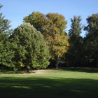 Bäume im Kurpark von Bad Homburg