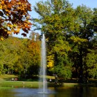 Schwanenteich im Kurpark Bad Homburg