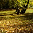 Kurpark im Oktober 2013