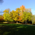 Kurpark im Oktober 2013