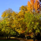 Kurpark im Oktober 2013