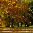 Kurpark im Oktober 2013