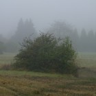 Kirdorfer Feld im Herbstnebel