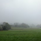 Kirdorfer Feld im Herbstnebel