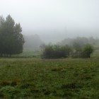 Kirdorfer Feld im Herbstnebel