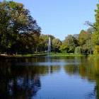 Schwanenteich in der Herbstsonne